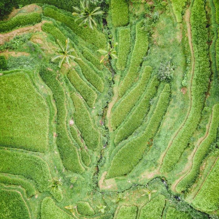 Family terraces and cafés for calm evenings in Rome